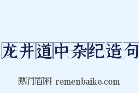 龙井道中杂纪造句是什么意思的图片